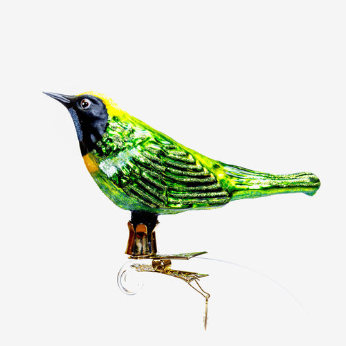 Yellow & Green Bird Clip-on Ornament