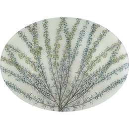 Artemisia