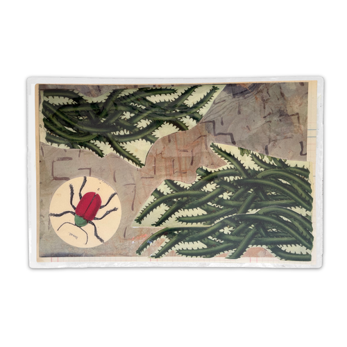 One-of-a-Kind Collaged Beetle & Spiky Plant Mat (#19)