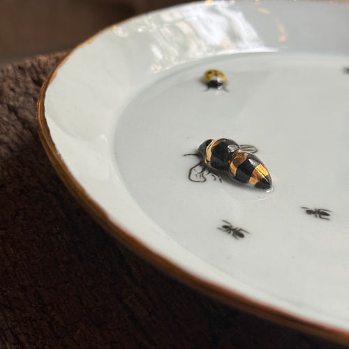 Two Beetles, Lady Bug & Bee Bug Plate (BC238)
