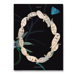 Oralee: A Field Guide to a Young Human Who Learns to Glow in the Dark