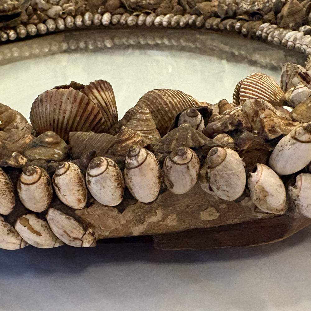 19th-century American Shell Frame