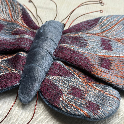 Butterfly Silk Velvet Embroidered Butterfly in Indigo