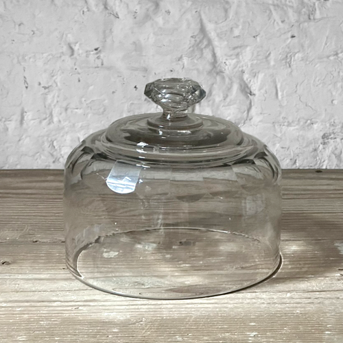 19th Century French Glass Cloche (D01)