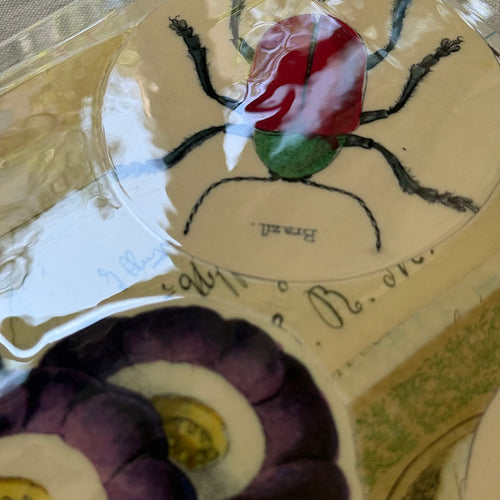 One-of-a-Kind Collaged Beetle Mat (#1)