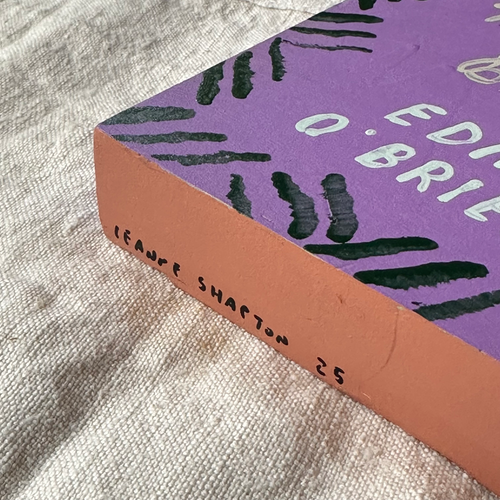 Leanne Shapton "Girls in their Married Bliss" Painted Wooden Book