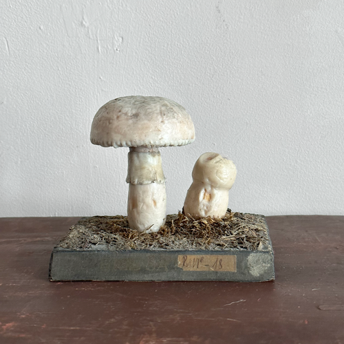 Antique Mushroom Model #1