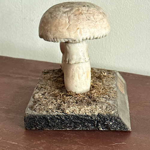 Antique Mushroom Model #1