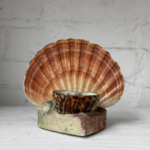 Mid-century Shell Napkin or Letter Holder