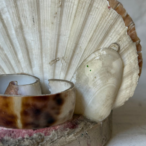 Mid-century Shell Napkin or Letter Holder