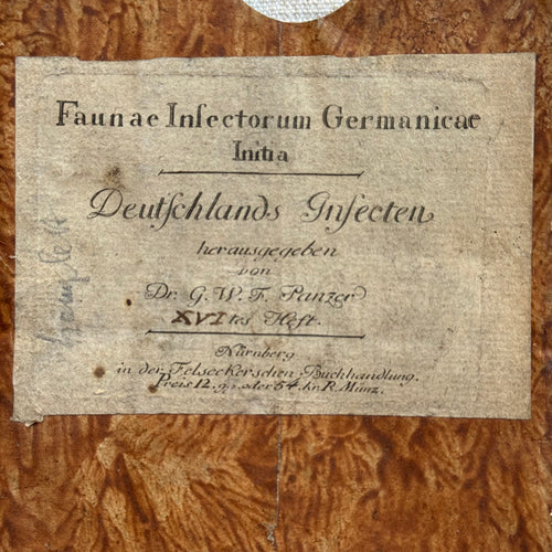 19th-century Marble Book Slipcase Sleeve #1