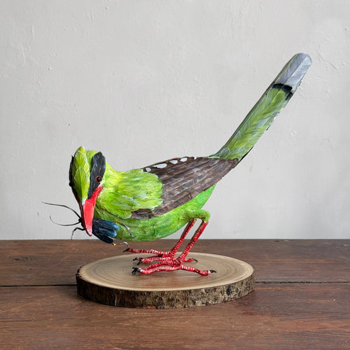 Papier-Mâché Indonesian Green Magpie