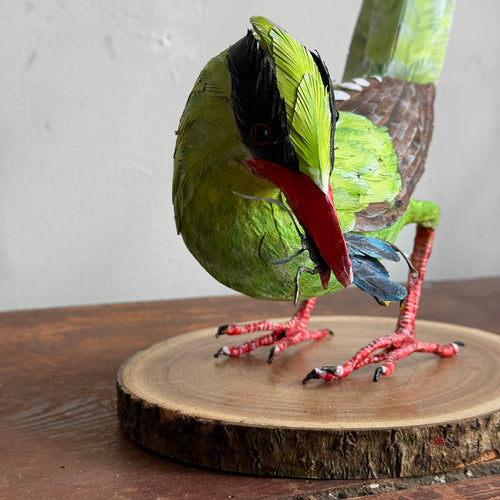 Papier-Mâché Indonesian Green Magpie