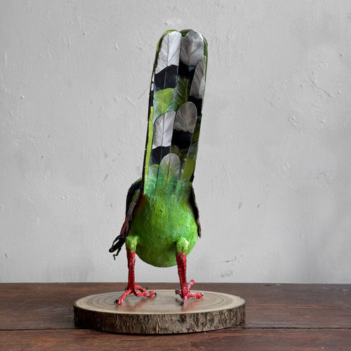 Papier-Mâché Indonesian Green Magpie