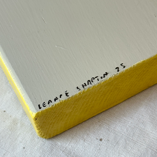 Leanne Shapton "An Angel at my Table" Painted Wooden Book