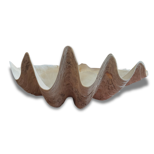 Giant Vintage Clam Shell
