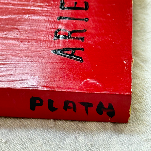 Leanne Shapton "Ariel" Painted Wooden Book