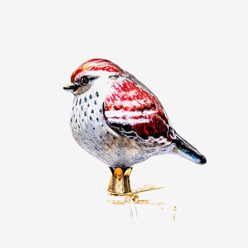 Red & Grey Bird Clip-On Ornament