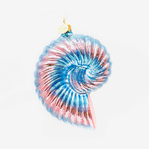 Pink Blue Shell Ornament