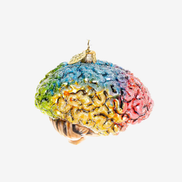 Multicolor Brain Ornament