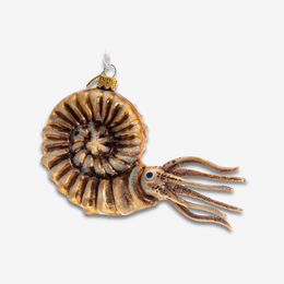 A glass Christmas ornament shaped like an ammonite fossil with a small squid attached, featuring a gold hanging loop at the top, shown on a light gray background.