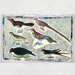 One of a Kind Collaged Birds Mat (#624)