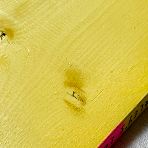 Leanne Shapton "Lady Chatterley's Lover" Painted Wooden Book