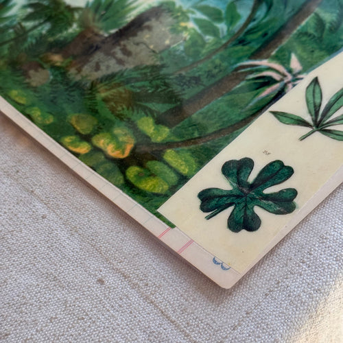 One-of-a-Kind Collaged Lion Mat (#22)
