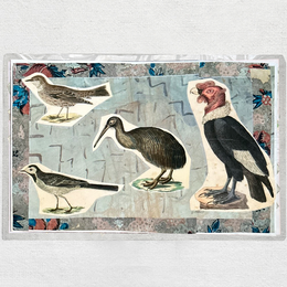 One of a Kind Collaged Birds Mat (#630)