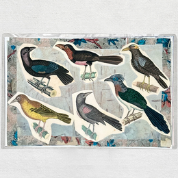 One of a Kind Collaged Birds Mat (#626)