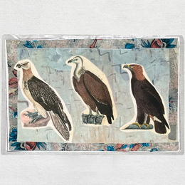 One of a Kind Collaged Birds Mat (#628)