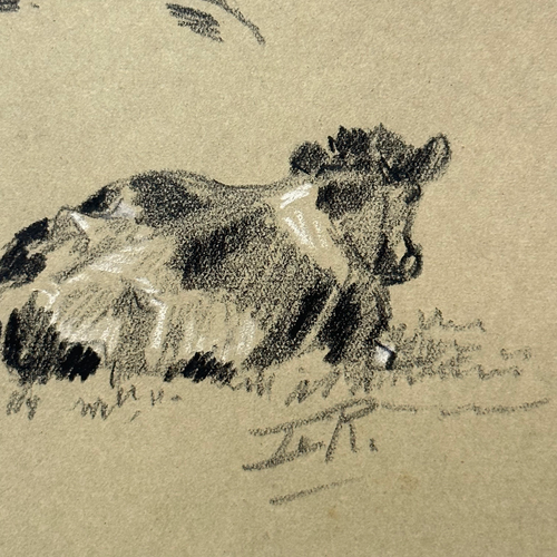 Evert Rabbers Early 20th-century Cow Drawing (ERA37)