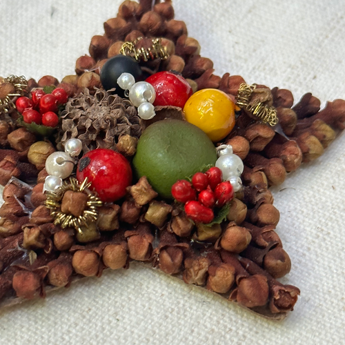 Cloves Star Ornament