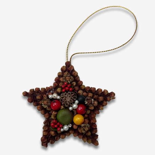 Cloves Star Ornament