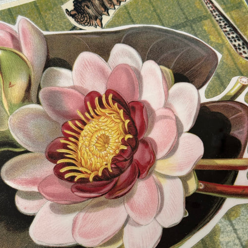 One-of-a-Kind Collaged Lily Pad & Seashell Mat (#27)