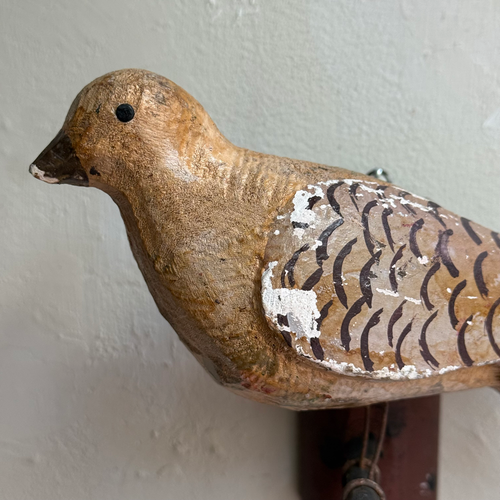 Early 20th-century Black Forest Carved Bird (BFB-20)