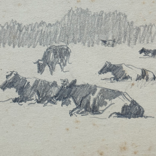 Evert Rabbers Early 20th-century Cow Drawing (ERA21)