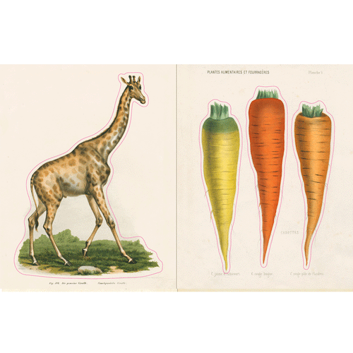 29781648291012.in03_500x.gif?v 29781648291012.in03_500x.gif?v