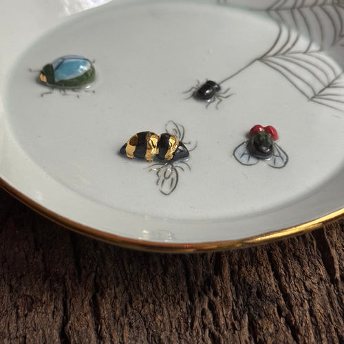 Beetles, Spider, Fly & Bee Bug Plate (BC231)