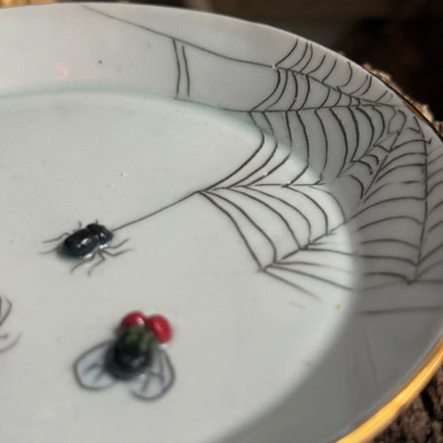 Beetles, Spider, Fly & Bee Bug Plate (BC231)