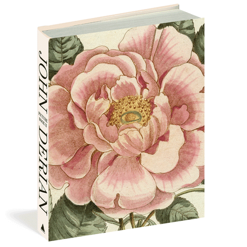 JOHN DERIAN Picture Book イラスト集 洋書 アート 2_3D-cover_500x.gif?v=1718945781