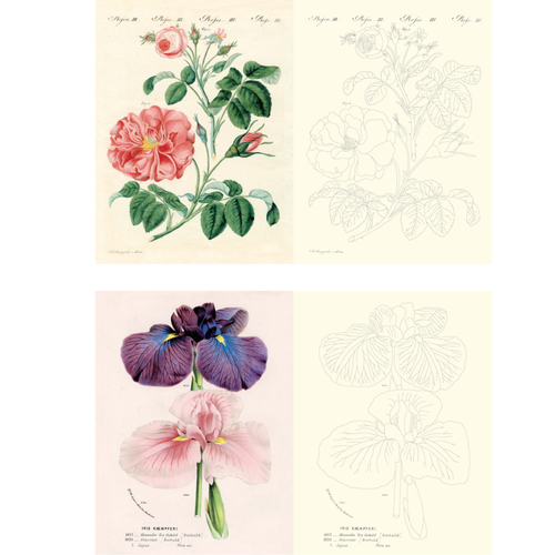 John Derian Colouring Book: Flowers - COMING SOON