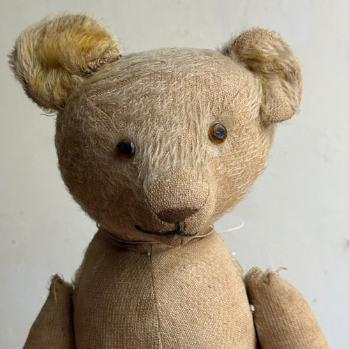 Early 20th-century Teddy Bear