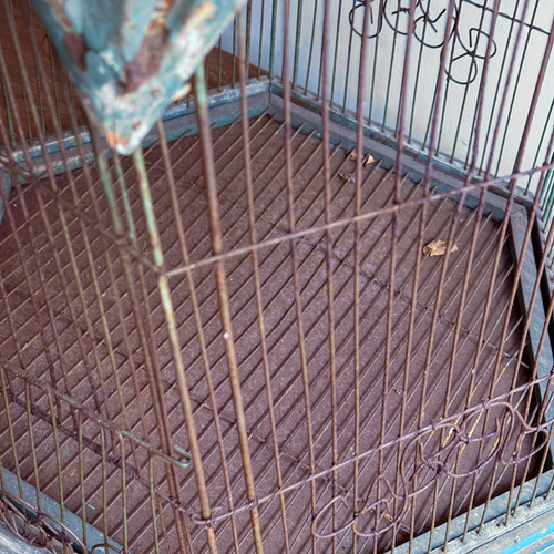 Early 20th-century Tin and Wire Bird Cage
