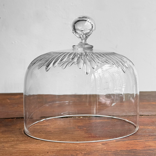 19th-century French Glass Cloche (CC04)