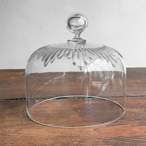 19th-century French Glass Cloche (CC04)