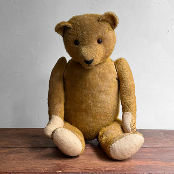 1920's Anton Kelsewetter German Teddy Bear