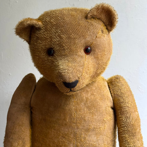 1920's Anton Kelsewetter German Teddy Bear