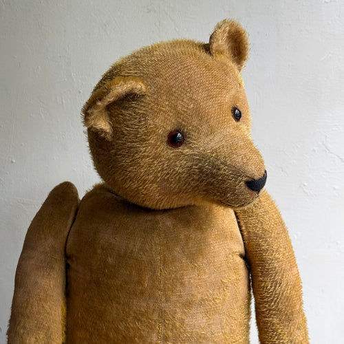 1920's Anton Kelsewetter German Teddy Bear