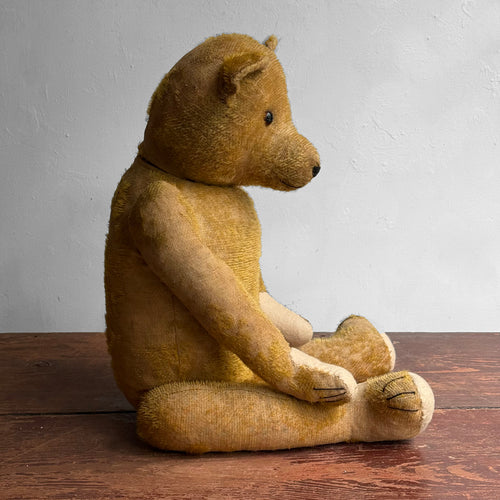 1920's Anton Kelsewetter German Teddy Bear